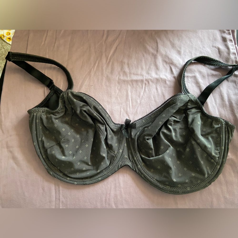 Prima Donna 36 G bra